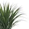 25.5" Agave UV Plant by Ashland®